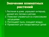 Значение комнатных растений