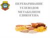 Переваривание углеводов. Метаболизм гликогена