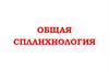 Общая спланхнология