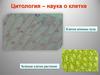 Цитология – наука о клетке