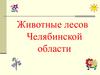 Животные лесов Челябинской области