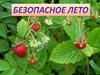 Безопасность летом. Стихи