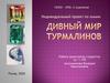 Дивный мир турмалинов