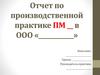 Отчет по практике. Шаблон