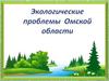 Экологические проблемы Омской области