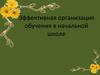 Эффективная организация обучения в начальной школе