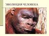 Антропогенез. Эволюция человека
