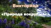 Викторина «Природа вокруг нас»