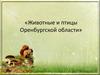 Животные и птициы Оренбургской области