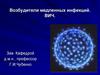 Возбудители медленных инфекций. ВИЧ