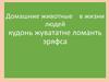 Домашние животные в жизни людей. Кудонь жувататне ломанть эряфса