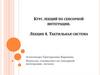 Курс лекций по сенсорной интеграции. Лекция 4. Тактильная система
