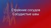 Строение сосудов. Швы сосудов