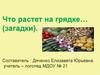 Что растет на грядке… (загадки)