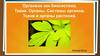 Организм как биосистема. Ткани. Органы. Системы органов. Ткани и органы растений