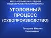 Уголовный процесс (судопроизводство)