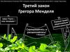 Третий закон Грегора Менделя