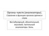 Органы чувств (анализаторы). Строение и функции органов зрения и слуха