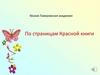 По страницам Красной книги