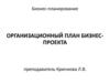 Бизнес-планирование. Организационный план бизнес-проекта