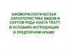 Биоморфологическая характеристика видов и сортов рода Hosta Tratt. В условиях интродукции в Предгорном Крыму