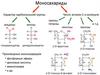 Моносахариды