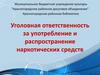 Уголовная ответственность за употребление и распространение наркотических средств
