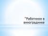 Притча о работниках в винограднике