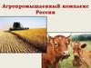 Агропромышленный комплекс России