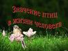 Значение птиц в жизни человека
