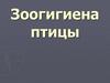 Зоогигиена птицы