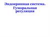 Эндокринная система. Гуморальная регуляция