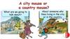 A city mouse or a country mouse?