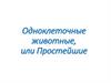 Одноклеточные животные, или Простейшие