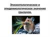 Эпизоотологическое и эпидемиологическое значение грызунов. Дератизация