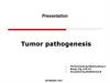 Mutation hormone. Tumor pathogenesis