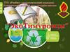 ЭкоТимуровцы