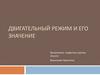 Двигательный режим и его значение