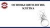 Основы цитологии. Клетка