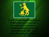 Отчет главы администрации Пчёвжинского сельского поселения о социально – экономическом развитии поселения