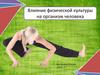 Влияние физической культуры на организм человека