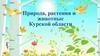 Природа, растения и животные Курской области