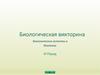 Экологические аспекты в биологии. III Раунд