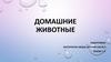 Домашние животные