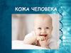 Кожа человека