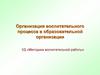 Организация воспитательного процесса в образовательной организации