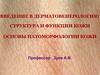 Введение в дерматовенерологию структура и функции кожи. Основы патоморфологии кожи