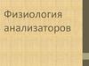 Физиология анализаторов
