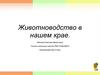 Животноводство в нашем крае