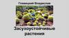 Засухоустойчивые растения